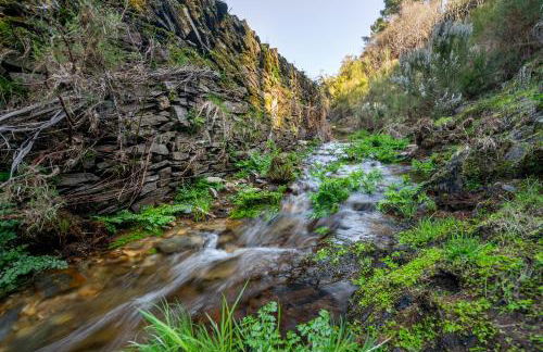Casa da Oliveira, Aradas, Pampilhosa da Serra, Wifi, Ar Condicionado, Churrasqueira, Parqueamento, by IG - Foto 52