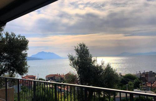 eleven views resort - Photo 47