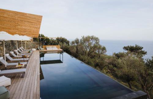 Five Olive Dream Trip - Photo 13