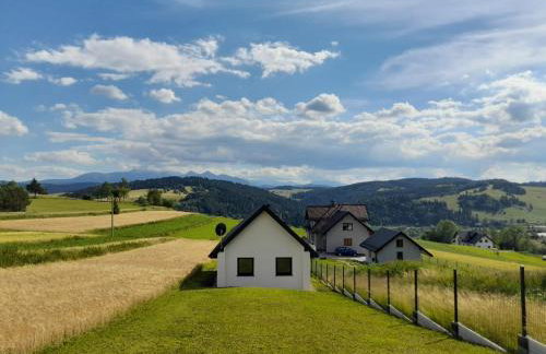 Domek na Kępie - Photo 17