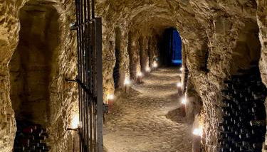 Tenuta Agricola La Cava- Cantina e Agriturismo - Foto 4