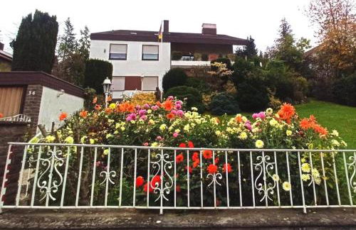 Apartments Gala, ruhige Lage, stadtnah - Foto 46