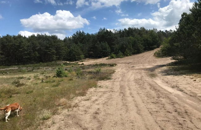 Home in the Dancing Forest - Foto 38