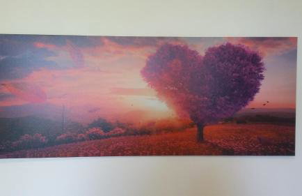 Sleepy Paradise Plitvice - Foto 39