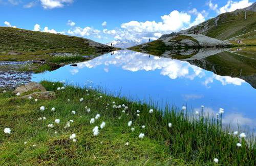 Arc 1950 Manoir Savoie Skis aux pieds - Photo 27