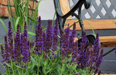 Gęsia Sielanka - Foto 15