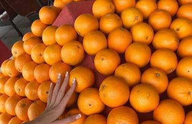 Classic Floridian Oasis w/Pool - Foto 64