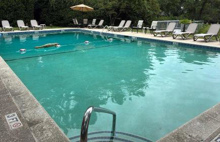 Sandpiper Cottage - 30 Day Rental - Foto 23