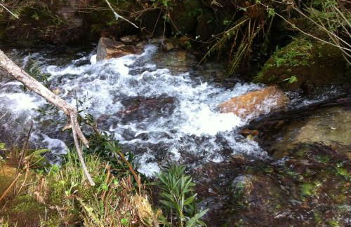 Quinta Porto dos Lobos - Foto 51
