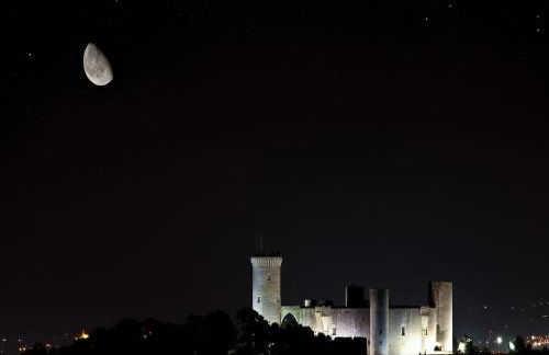 Miquel Santandreu 40 Villa for 10 guest - Photo 29