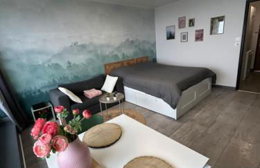 Le Panorama - GÎTES MARCK - Foto 1