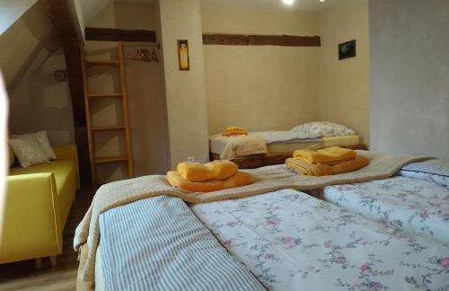 Skotopaska - Foto 23