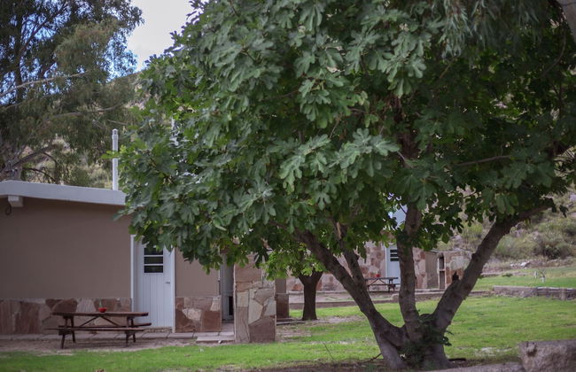 Bosque Divino Cabañas & Suites - Foto 45