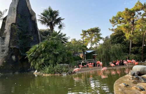 Maison la palmyre - Foto 14