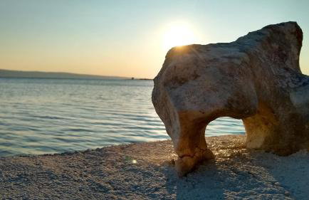 Apartman Lucija - Foto 33