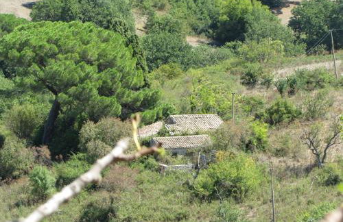 Agriturismo San Pietro - Foto 134