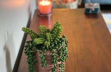 Hurdley House-Georgian Town House - Foto 20