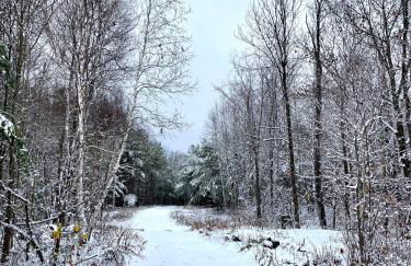 Baker Rocks - Photo 34