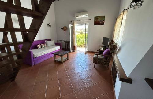 Agroturismo Horta Da Vila - Foto 51