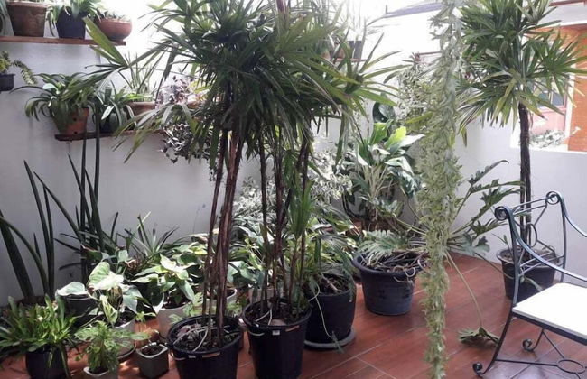 Baan Warintorn Court Nongkhai - Foto 30