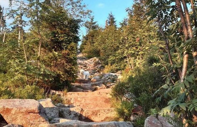 Welcoming Chalet Near Forest in Rohrnbach - Foto 45