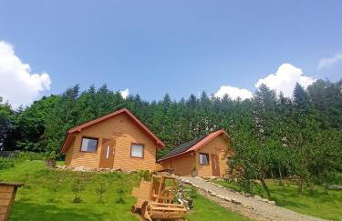 BIESZCZADZKA Antosiówka - Foto 8