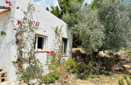 Satori, paradise in rural malaga - Photo 36