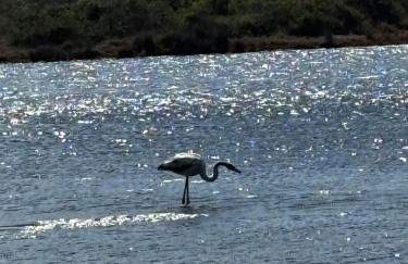 Casa Marcella - Photo 36