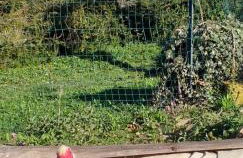 Agriturismo Cascina Knec - Photo 11