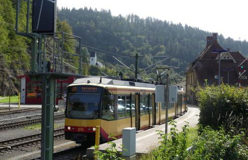 Ferienwohnungen Sonnenhalde mit schöner Aussicht - Foto 50