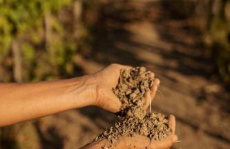 Agriturismo Per Caso - Photo 24