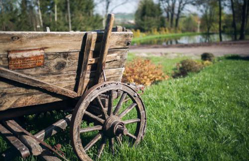 Gospodarstwo Agroturystyczne Kowalowe Wzgórze - Foto 33