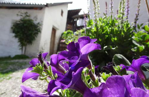 Hofrichter - Photo 35