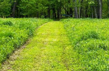 Wildflower Walk at Three Suns Cabins - Foto 20