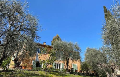 La maison aux oliviers - Foto 34