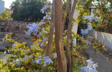 Latmos 1860 - Foto 64