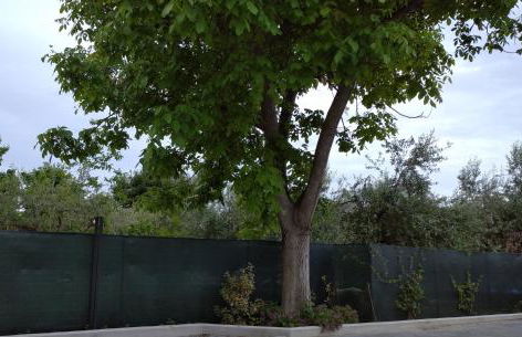 La Dimora di Lalla - Foto 11