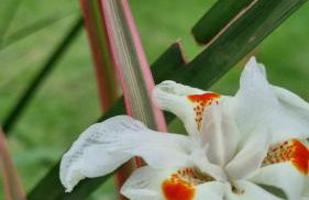 Casa Aconchego Lençóis - Foto 20