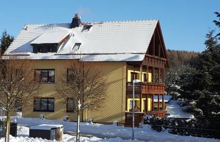 Moderne Komfortwohnung im Kurort am Rennsteig - Foto 3