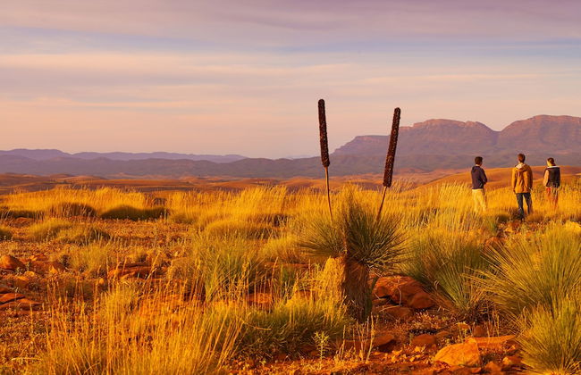 Skytrek Willow Springs Station - Foto 60