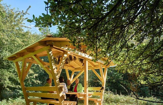 WaldResort - Am Nationalpark Hainich - Foto 24