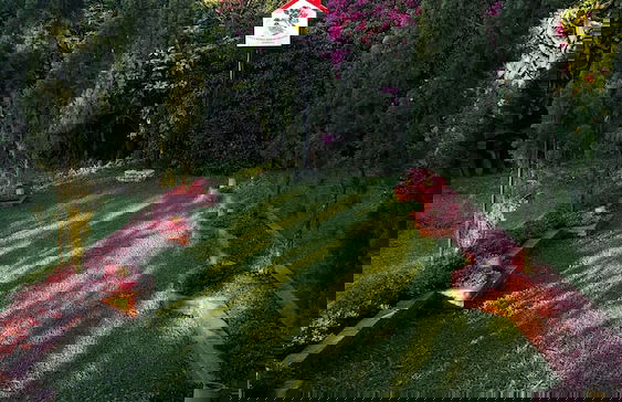 Vila Bunga Merah Gelatik - Photo 45