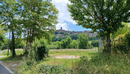 cosy logis et son écrin de verdure - Foto 3