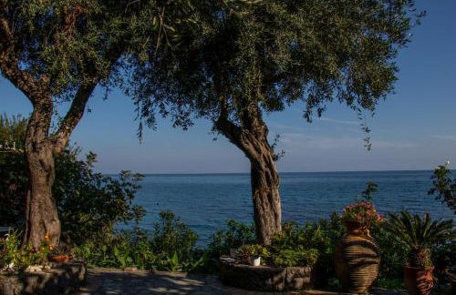 Beachfront Romantica place First floor - Foto 6