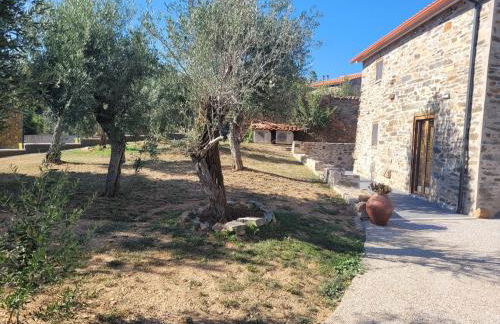 Casa Picau - Foto 13