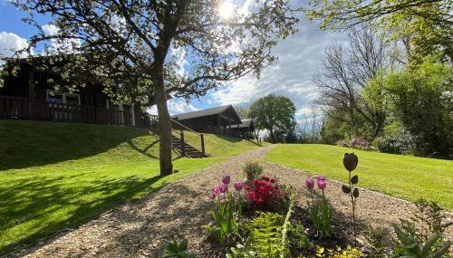 Hollybush Lodges - Foto 3