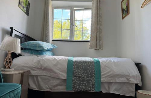 London Central 4 bed House with Garden - Photo 44