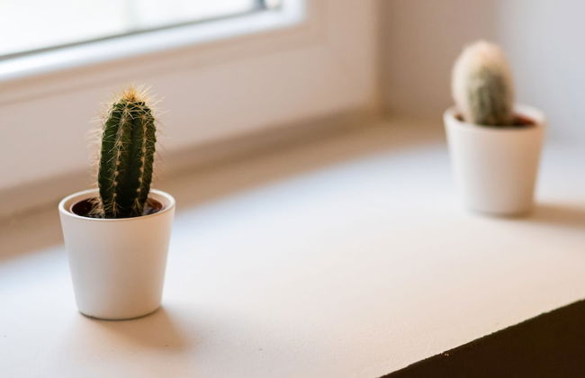 Superb Duplex Ideally Located in the Centre of Aywaille - Photo 32