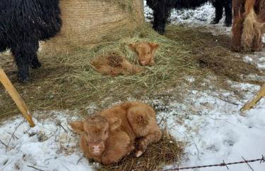 Auszeit auf dem KulturGut Hirtscheid - Foto 2