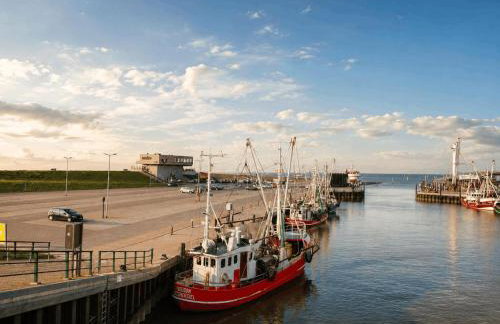 Ostfrieslandtraum - Foto 20